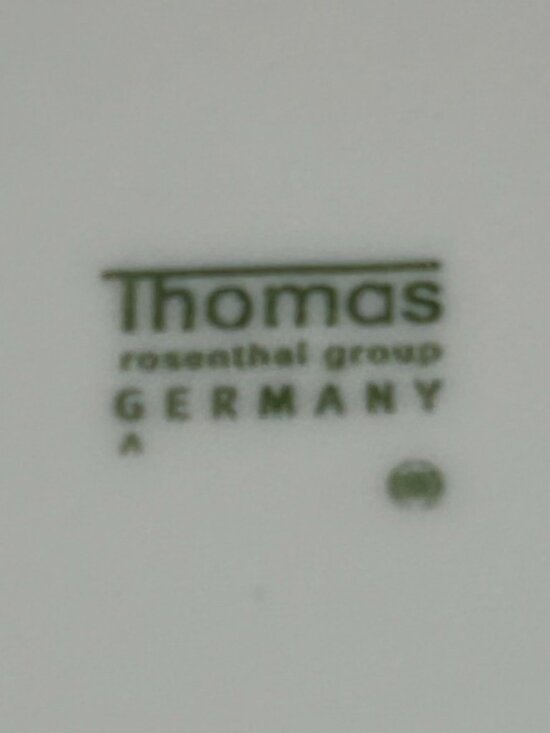 Set of 2 Thomas Rosenthal Germany dinner plates - Picture 4 of 4